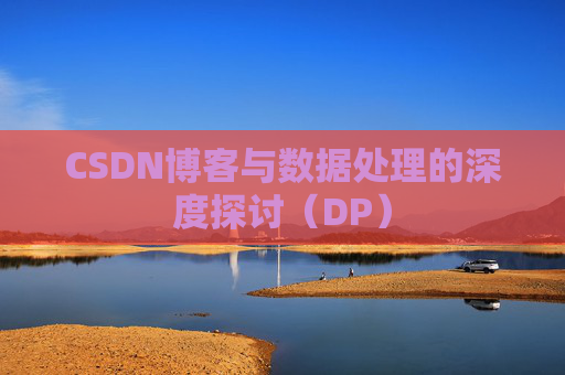 CSDN博客与数据处理的深度探讨（DP）